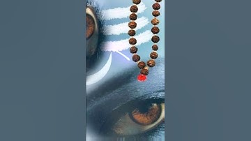 Shiv Shiv Shankara | Mahadev status video | mahadev status | mahadev song | #shorts #shiv #mahadev