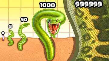 Growing a WORM to MAX LEVEL SNAKE
