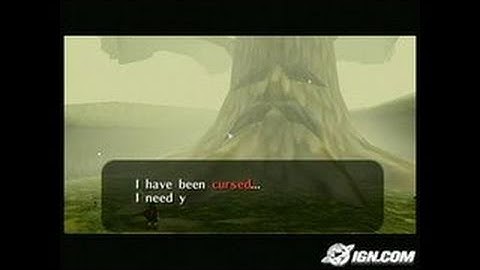 The Legend of Zelda (Collector