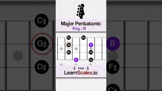 Learn BASS scale for beginners: Major Pentatonic in key of B #bass #bassplayer #basstheory #bassist