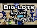 BIG LOTS NEW SPRING DECOR 2021 • SHOP WITH ME