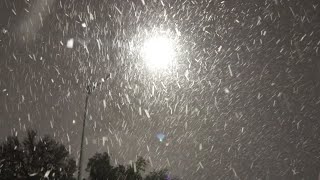 Snow falling in northwest Austin on Monday morning