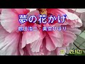 夢の花かげ(鶴田浩二・美空ひばり)~ZENZI