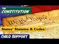 Which Laws You Can Use To Defeat Child Support - Constitution or State Statutes & Codes