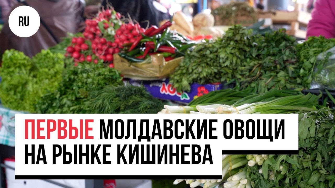Первые молдавские овощи на рынке Кишинева. Сколько стоят местный редис, огурцы и помидоры?