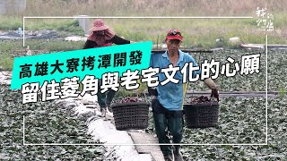 快速消失的拷潭菱角田｜限建令解除 加快開發腳步(公視我們的島 第1288集 2024-12-30)