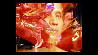 Sasan Fai - Leave It (Visualizer)