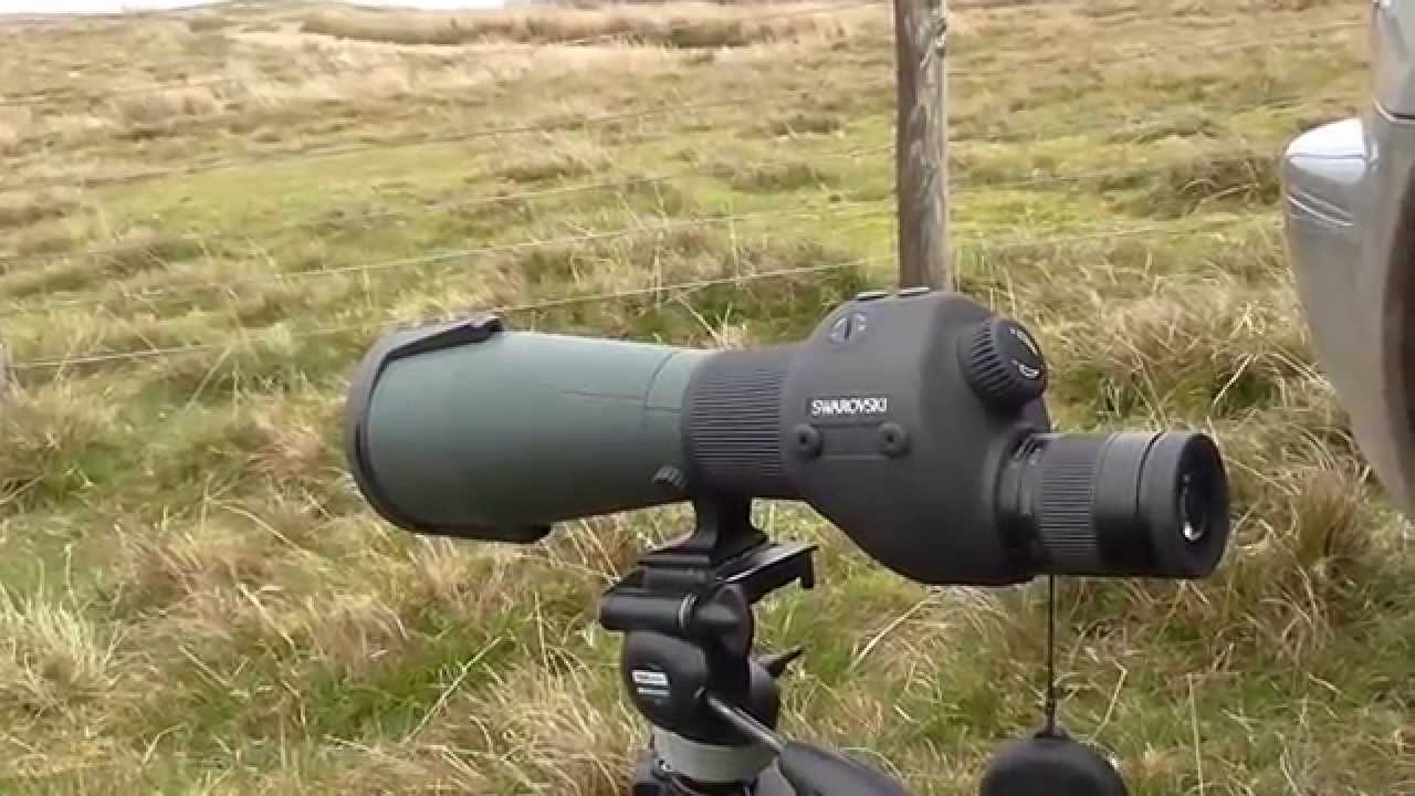 Swarovski STR ballistic spotting scope review YouTube
