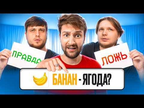 Правда или ложь челлендж! Угадай или страдай!