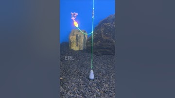 Bottom Fishing Rig Using Floats #shorts #fishing #tutorial