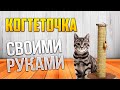 Когтеточка своими руками. #shorts #diy