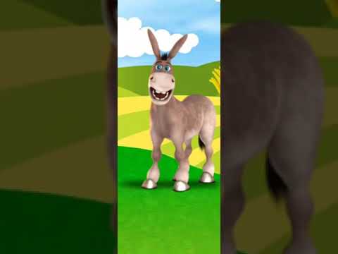 معك عشرين شيكل دين اضحك من قلبك 