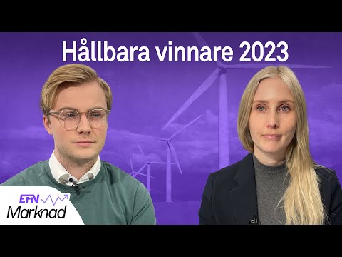 Video: Efterfrågan är den viktigaste komponenten i marknadsutvecklingen