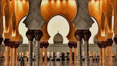 الشيخ وليد ابراهيم سورة ق