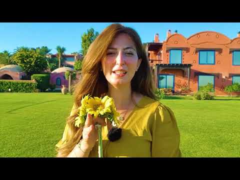 قرية تونس معلومات اول مرة تعرفها عن قرية تونس بالفيوم