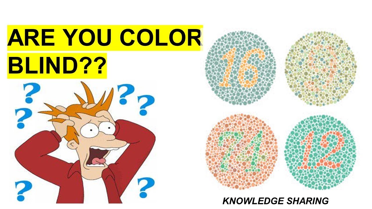 Color Blind Tests - Color Blind Awareness