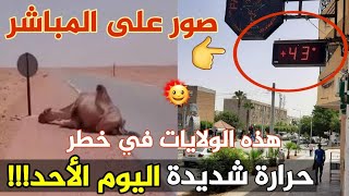 نشرية خاصة  مصالح الأرصاد الجوية تحذر الجزائريين من موجة حر شديدة اليوم الأحد على هذه الولايات...