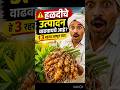 हळदीचा उत्पादन दुप्पट करायचा? हे 3 सीक्रेट जाणून घ्या! #agriculture #shorts