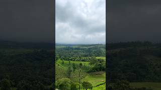 Exploring Munnar | V8 Tamilan | #youtubeshorts | #YouTube | #travel