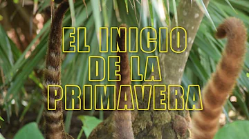 Como são as estações no México?