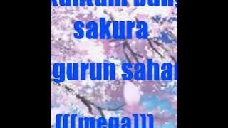 Sekuntum bunga sakura di gurun sahara