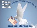 Waa Adi Daraadaa Lyrics Muse I Qalinle Aun