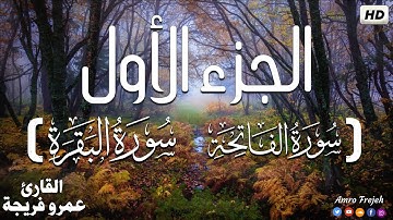 الجزء الاول من القرآن الكريم😴 | بصوت القارئ عمرو فريجة