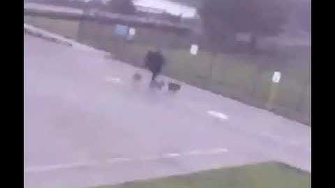 MAN STRUCK BY LIGHTNING WHILE WALKING HIS DOGS