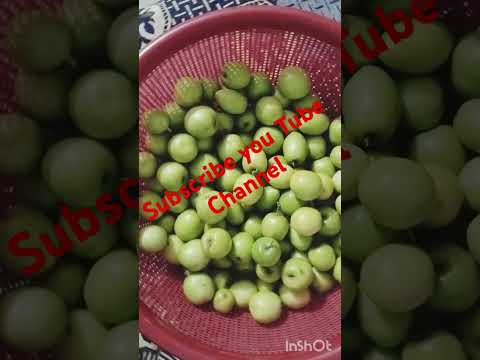 سب بیر کھا لو جی