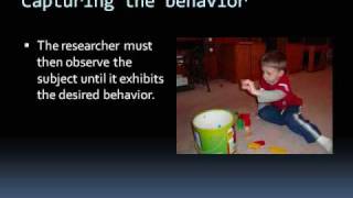 Skinner and Positive Reinforcement