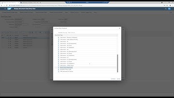 SAP Archiving and document access within SAP FI transaction