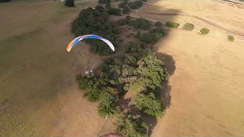 Warp 2 Tips flutter with full bar or power attack