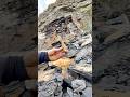 We came across a fresh shale landslide! 🏝️ Amongst it, we found these GOLDEN fossils in loose slabs