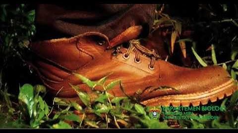 Profile of Biology Department Hasanuddin University