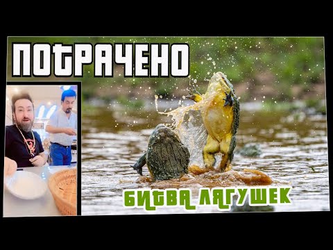 Потрачено. Битва Лягушек. Лучшие приколы, смешные видео и фейлы