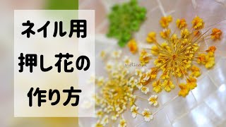 ネイル用押し花作ってみた☆レースフラワー