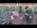 ❗БЕЛЫЕ ДУБОВЫЕ ГРИБЫ, ЛЕТНИЕ ОПЯТА, ПОДОСИНОВИКИ, ЛИСИЧКИ.🔥МОРЕ ВАЛУЁВ.👉ГРИБЫ В ПОДМОСКОВЬЕ 2021