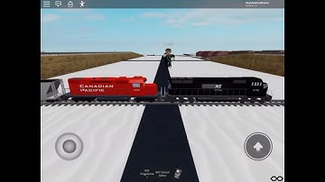 The NS Ro Scale DCC Layout NS/CP Local Train