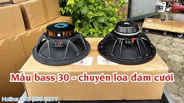 2 mẫu bass 30 neo xịn sò chuyên SK , giá hợp lý tại DVH audio 0363553277