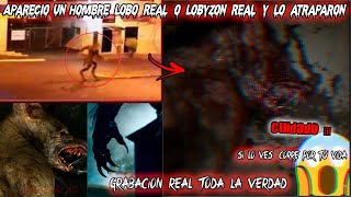 Aparecio un Hombre Lobo Real o Lobyzon Real y lo atraparon Grabacion Real TODA LA VERDAD