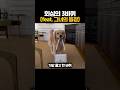 강아지가 아니라 연애 고수입니다ㅋㅋ #리트리버 #강아지 #강아지행동 #댕댕이 #웃긴강아지 #dogshorts #funnydog #goldenretriever #shorts