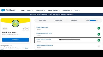 Quick Start: Apex | Invoke and Test the Code