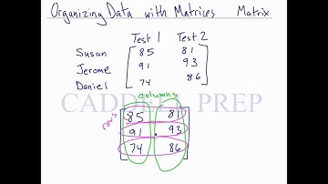 Organizing Data with a Matrix