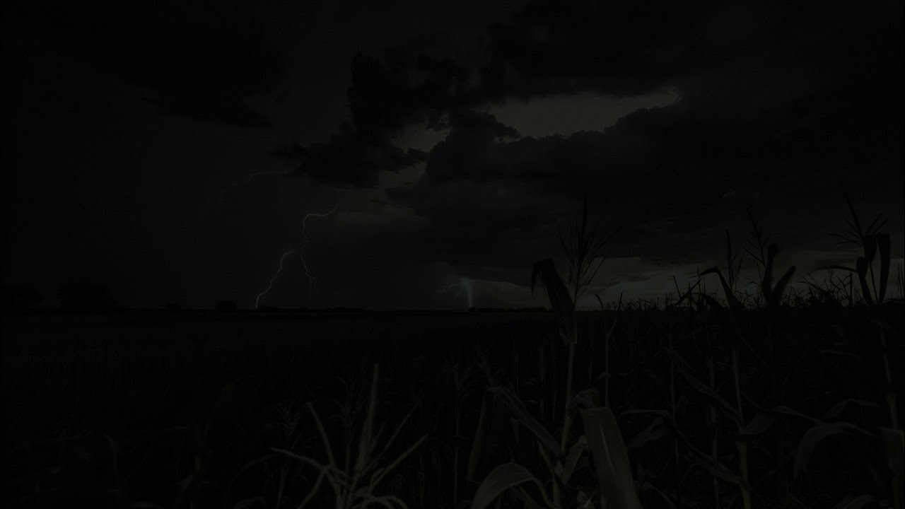 Cornfield In A Nighttime Thunderstorm | Rolling Thunder Over Dark Clouds Helps You Relax 😴