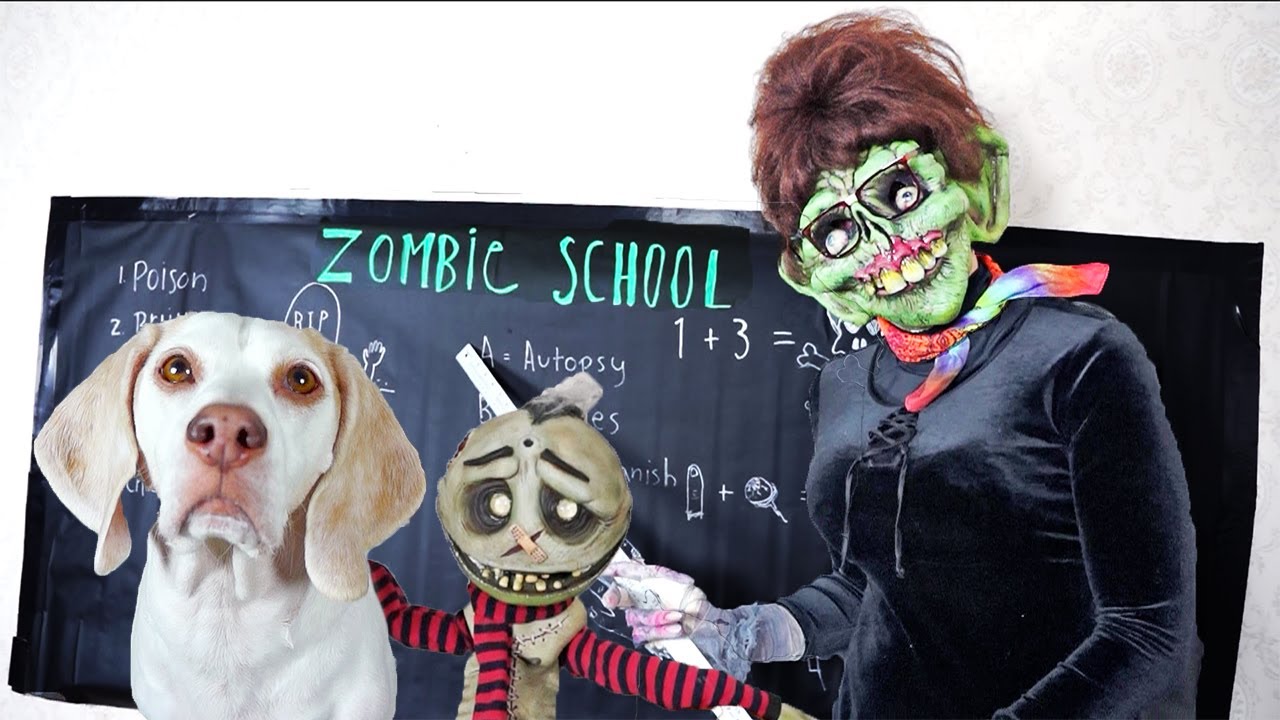 Dog Rescues Zombie Boy From Zombie School! Funny Dogs Maymo & Potpie vs Zombie Teacher