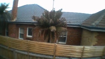 XK X250 FPV Wide Camera Mod (onboard video)