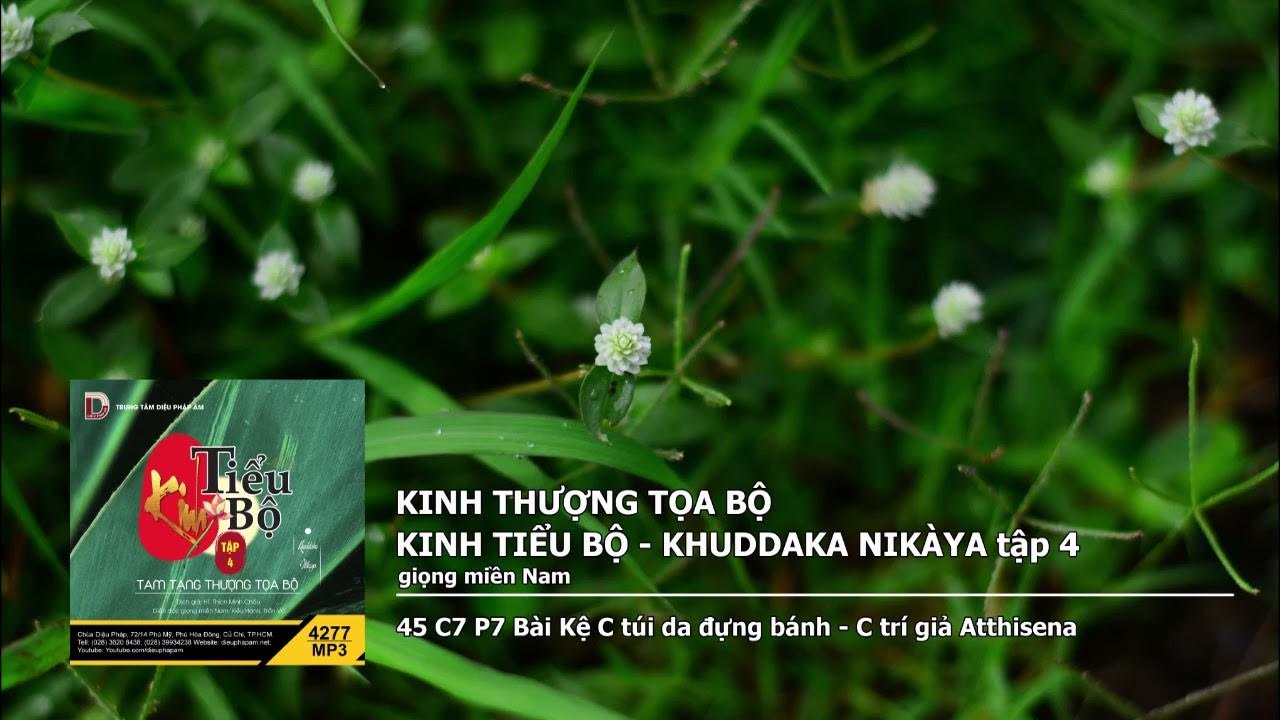 Tập 4 – 45 C7 P7 Bài Kệ C túi da đựng bánh – C trí giả Atthisena giọng miền Nam 