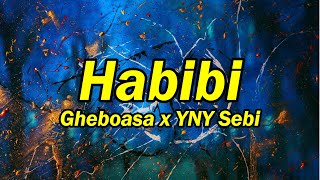 Gheboasa x YNY Sebi - Habibi (versuri)