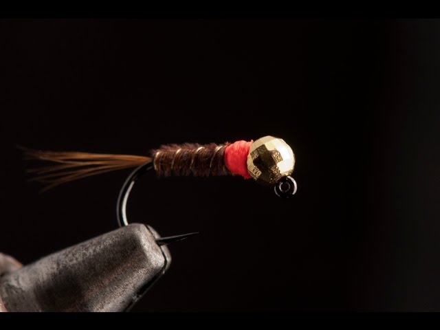 Tunghead Hot Spot Pheasant Tail Jig Pattern | Orange | Size 16 | Orvis