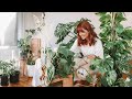 make your house plants thrive 🌿indoor plants care tips & hacks